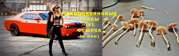 прущая мука Баксан